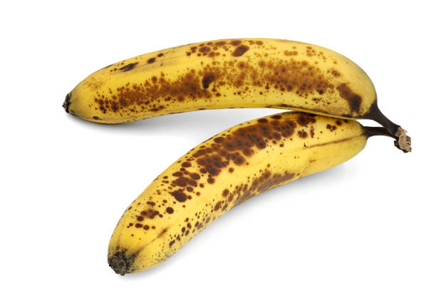 흰색 배경에 두 개의 갈색 점박이, 익은 바나나 - banana rotting ripe above 뉴스 사진 이미지