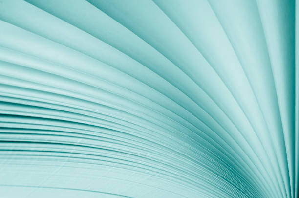 istock Blurred. Macro view of book pages. Toned 1226149938