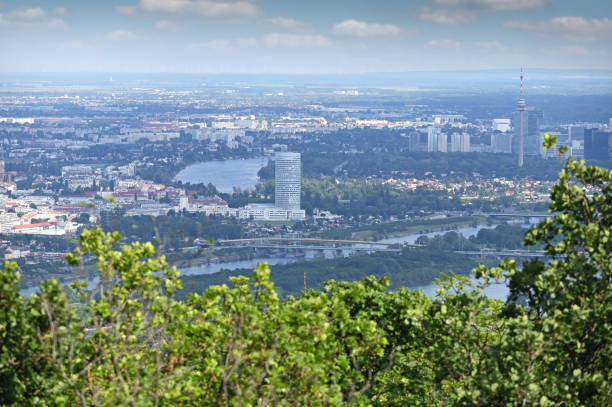 istock Vienna city and Danube river panoramic view 1226151324