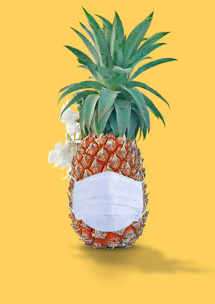 istock pineapple wearing white mask for safety concept design isolated 1226154964