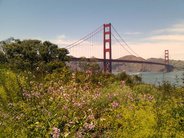 Golden Gate Bridge view from Battery East stock photo