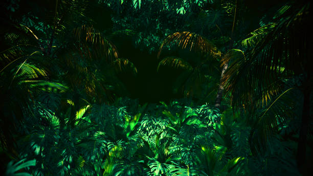 istock Adventure In Jungle Summer 1226167173