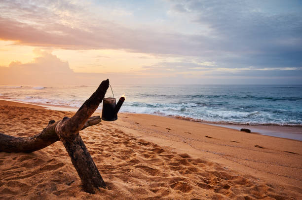 istock Tropical beach with burning kettle on a wood log at sunrise. 1226172160