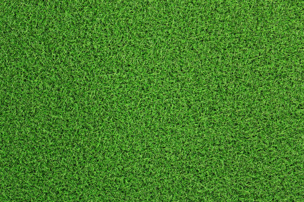 ilustracja 3d z powyższego widoku zielonej trawy lub trawnika boiska lub pola. wzór i teksturowane koncepcji. - grass area high angle view playing field grass zdjęcia i obrazy z banku zdjęć