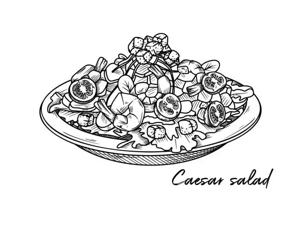 Vector illustration of Caesar salad with shrimp isolated on a white background. Sketch Italian dishes. Vector illustration in sketch style.