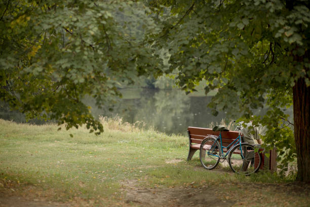 istock blue bicycle stands in a park by the pond next to the bench 1226178029