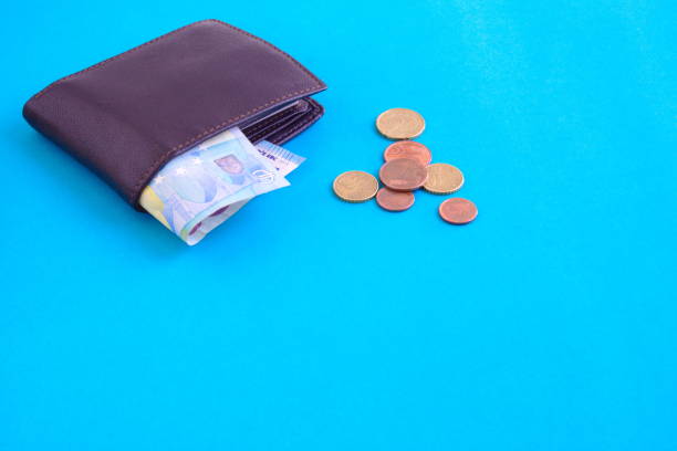 Set of banknote, coins and wallet on blue background for economy in recession
