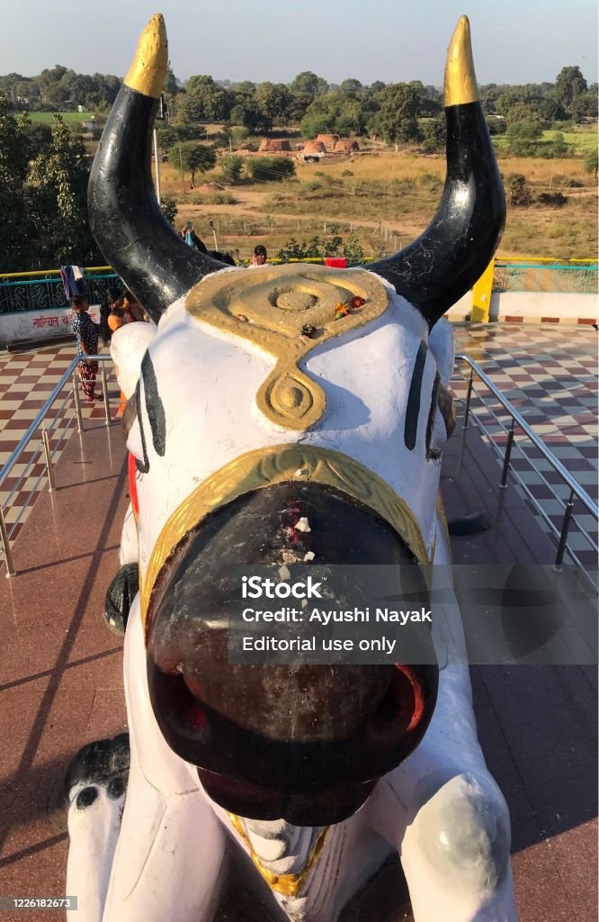 Head Of Nandi Or Bull It Is The Gate Guardian Of Lord Shiva Made By Stone  At Damru Ghati Gadarwara Stock Photo - Download Image Now - iStock
