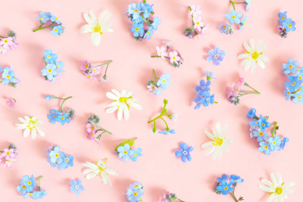 istock Pattern made of fresh flowers 1226183108