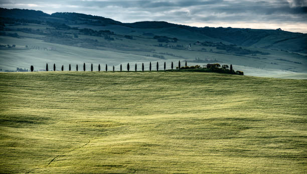 istock Sunny landscape from Val d'Orcia, Tuscany, Italy 1226186685