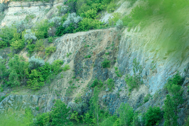 istock Rocks overgrown with trees near the lake 1226187830
