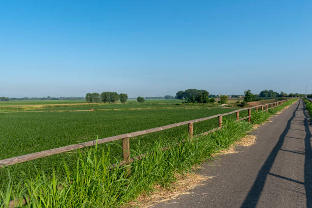 Summer landscape along the cycle path of the Po river, italy Summer landscape along the cycle path of the Po river, iin the Lodi province, Lombardy, Italy lodi italy stock pictures, royalty-free photos & images