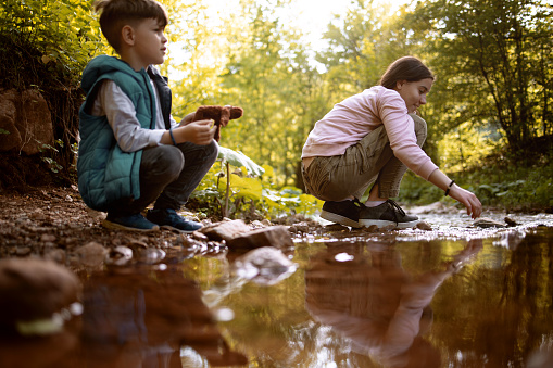 Brother and sister are playing next to the creek in nature. It is located in eastern Serbia.