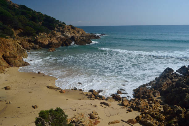 istock Beach on the coast of Chia 1226193974