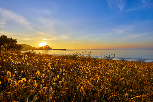 View of Grouville Bay with Gorey Castle in the background with grasses in the foreground, with the sea and blue sky at sunrise, Jersey Channel Islands, UK