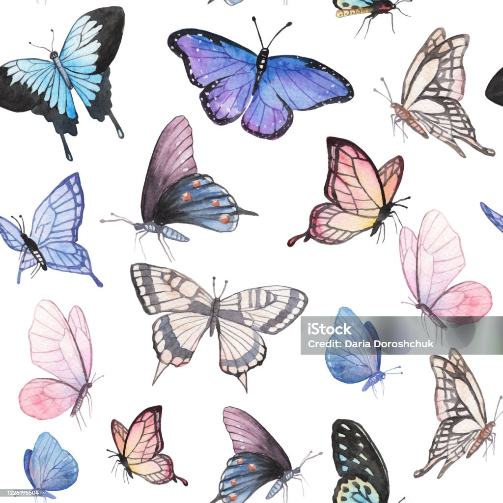Bộ sưu tập hình ảnh tranh vẽ con bướm vô số lượng và chất lượng 4K ấn tượng.
