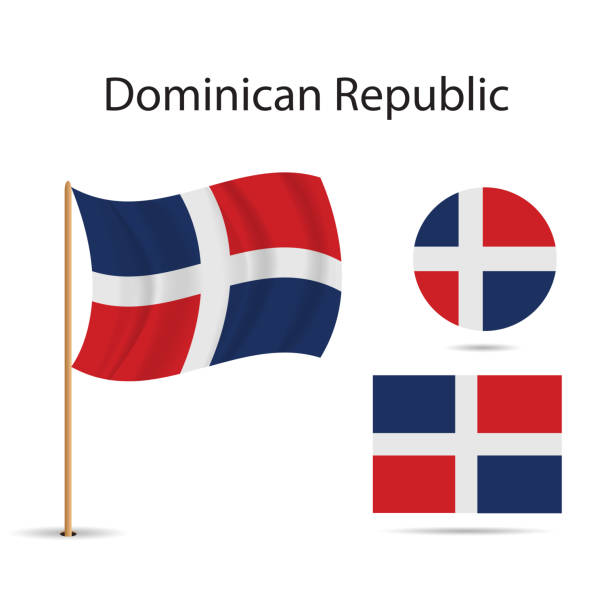 Vector - Dominican flag, vector illustration. Vector - Dominican flag, vector illustration. kelp gull stock illustrations