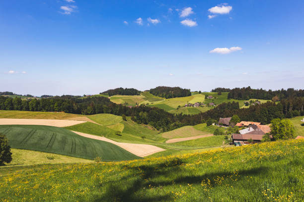 vue imprenable sur les collines emmentales en suisse - emme valley photos et images de collection
