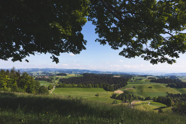 vue imprenable sur les collines emmentales en suisse - emme valley photos et images de collection