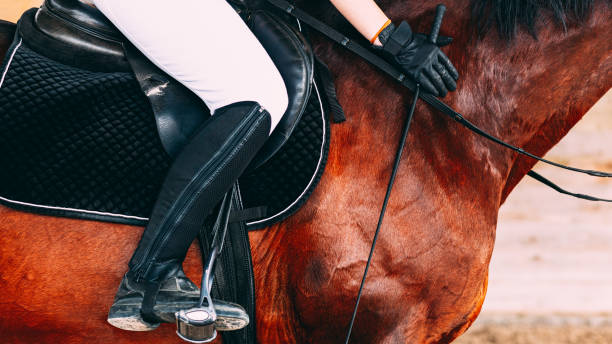 mujer con pantalones blancos y botas negras sentadas en un caballo marrón, guantes negros en las manos, sosteniendo látigo montando - competition action animal close up fotografías e imágenes de stock