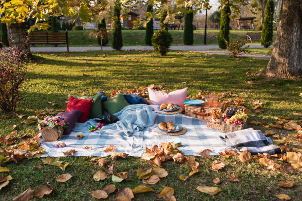istock Picnic in the park 1226202827
