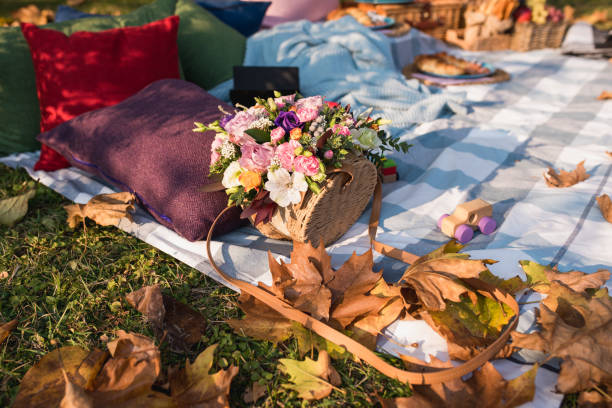 istock Picnic in the park 1226202832