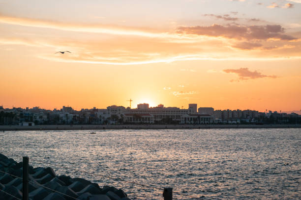 istock Evening blue sunset sky  sea and  bird 1226205025