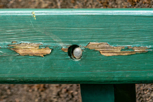 una tavola di legno intemperie dipinta con vernice scheggiata verde - spall foto e immagini stock