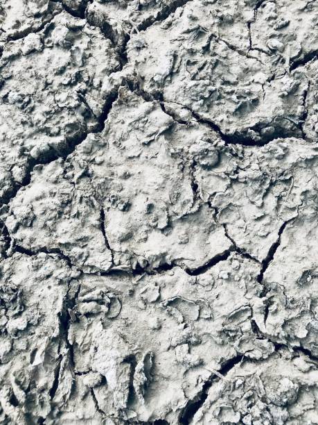 istock Arid land with many sheets of cracks 1226208111