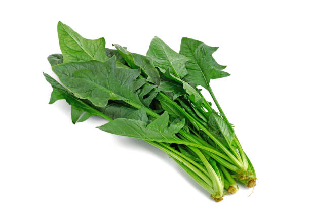istock Bunch of spinach leaves on isolated white 1226209040