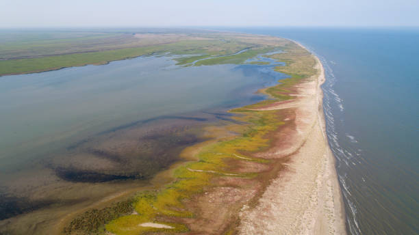 istock Aerial View of Sacalin Peninsula in Danube Delta 1226211307