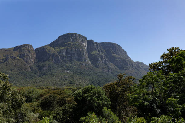 istock Magnificent view of mountains and multiple trees 1226212906