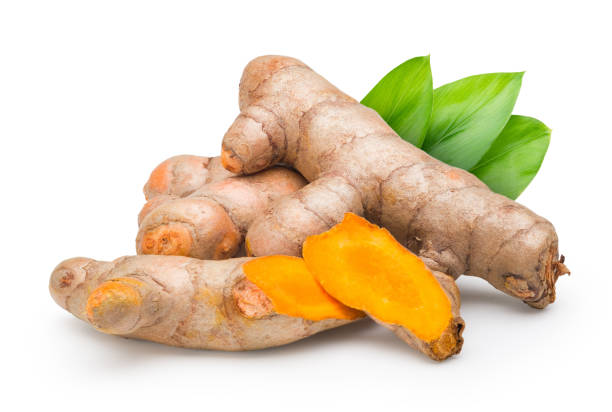 cúrcuma fresca (curcuma longa) com a folha no fundo branco. imagem comercial de planta medicinal isolada com caminho de recorte. - spice green leaf gourmet - fotografias e filmes do acervo