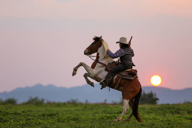 istock Man Riding Horse On Land Against Sky 1226214658