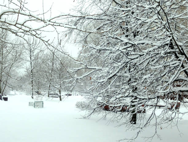 istock city park after snowfall at day 1226217838