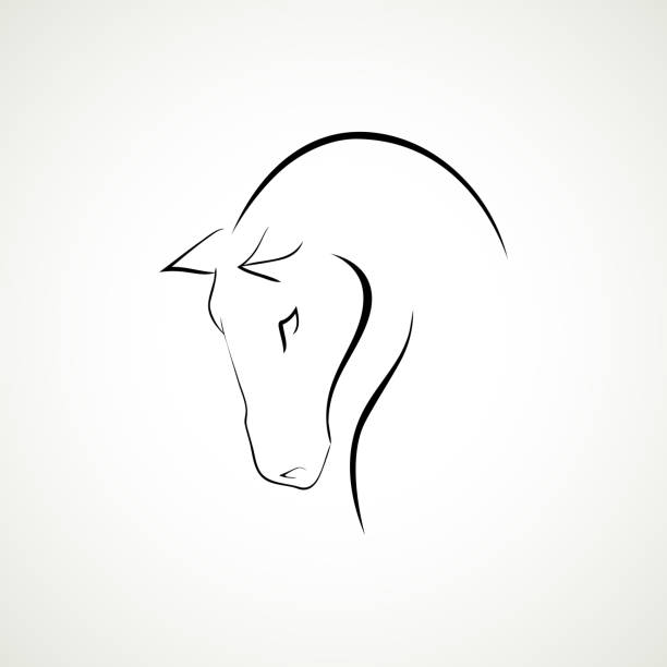 illustrations, cliparts, dessins animés et icônes de illustration vectorielle de type de tête de cheval de ligne - horse animal head animal sky