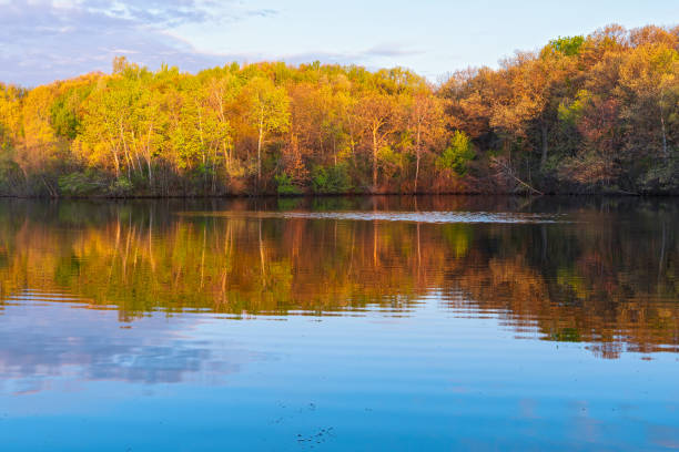 istock marthaler park pond and woodlands 1226221264