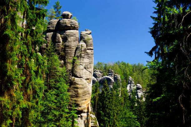 istock View in Adrspach Rocks, Czech 1226221572