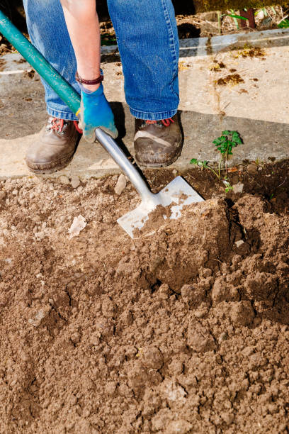 istock Woman digging her vegetable garden 1226221934