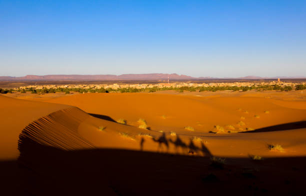 istock The shadow of the Camel Caravan. 1226225243