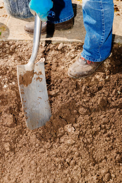istock Woman digging her vegetable garden 1226225315