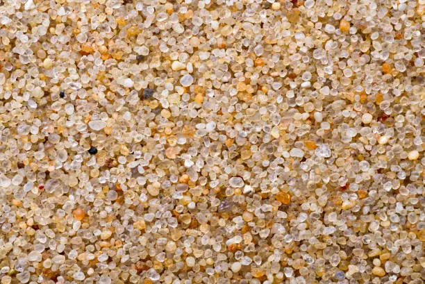 Texture. Calibrated Quartz Sand. Macro. Clean granules. Natural material.