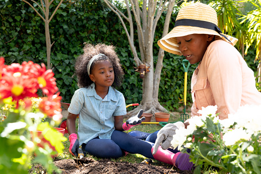 African American girl and her grandmother planting flowers at their garden