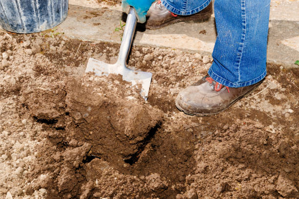 istock Woman digging her vegetable garden 1226230877