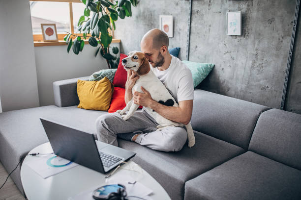 istock Man working on laptop at home and playing with his dog 1226235319