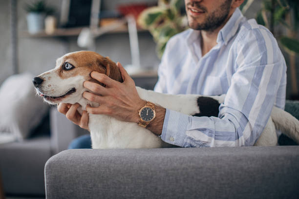 istock Man petting his pet dog at home 1226236128