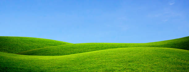 istock Green grass hills and blue sky with copy space for Banner design. 1226237349