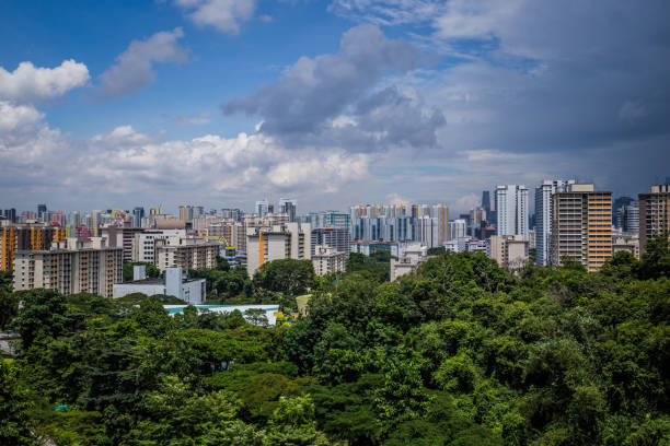 istock Singapore city view 1226238601