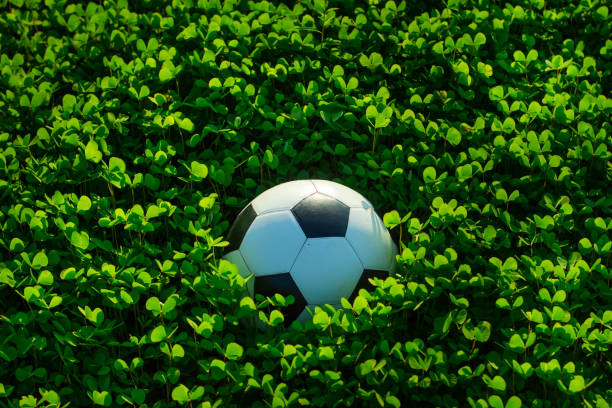 The football ball was placed in the middle of a long green grass.