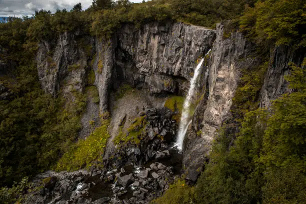 Photo of Svartifoss, waterfall in Iceland